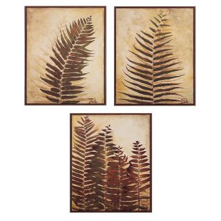 Ferns Framed Wall Art Prints, 17 x 21in   Set of 3