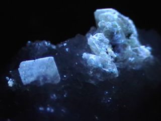 Fluorescent Scheelite Crystals Camp Bird Mine OURAY County Colorado