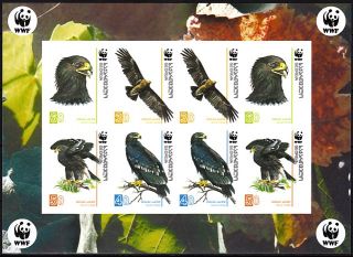 description complete set of 4v wwf spotted eagle in super