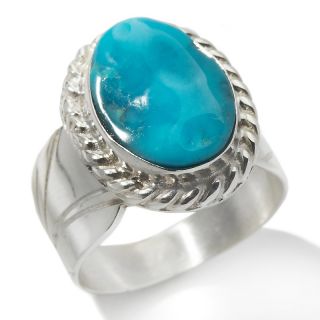 Jay King Oval Freeform Turquoise Wide Band Sterling Silver Ring