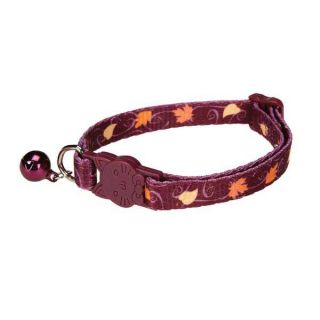 Casual Kitty Harvest Fall Autumn Safety Cat Collar w Bell