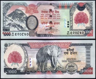 Nepal 2008 New RS 1000 Everest N Flower Banknote UNC