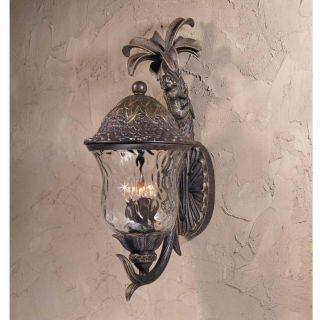 NEW 4 Light Tropical Outdoor Wall Lamp Lighting Fixture, Bronze, Clear