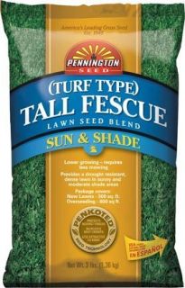 Pennington Grass Seed Signature Series Turf Type Tall Fescue 10 lb Bag