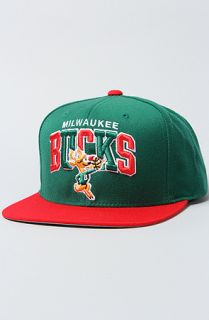 Mitchell & Ness The Milwaukee Bucks Arch Tri Pop 2T Snapback Cap in