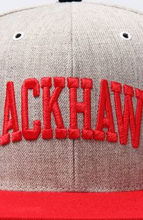 Mitchell & Ness The Chicago Blackhawks Basic Arch 2T Snapback