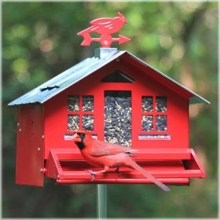 Perky Pet Squirrel Be Gone II Country Style Bird Ffeder Squirrel Proof