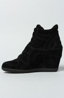 Ash Shoes The Bowie Sneaker in Black Suede