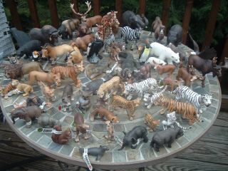 Schleich Wildlife Exotic Animal Figurine Collection