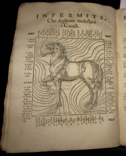 two rare books on horses written by cesare fiaschi and filippo scacco