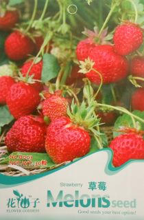 name strawberry scientific name fragaria ananassa quality in each pack