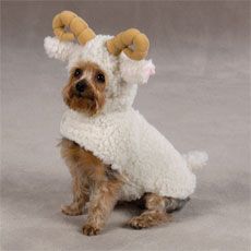 Halloween Pet Dog Cat Costume Berber Lil Sheep XSM 8 New