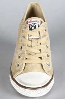 Ash Shoes The Ginger Sneaker in Desert Canvas