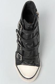 Ash Shoes The United Sneaker in Black Nappa