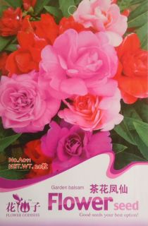 A011 Flower Red Pink Garden Balsam Impatiens Seed PK B