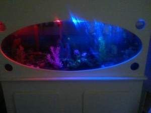 HUGH 55 GALLON FISH TANK AND STAND A MUST READ PICK UP ONLY