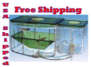 Penn Plax Aquarium Nursery Hatchery For Guppy Molly Swordtail Fish