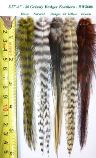 20 Whiting Grizzly Feathers for Hair Extensions and Fly Tying 5606 5 5