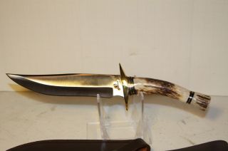 11 1 4 Rolled Stag Handle Hunting Knife with Surgical Steel Blade