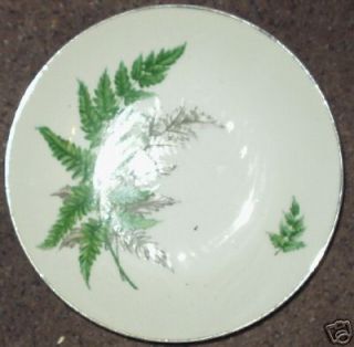  Century China Bowls Plates Ferndale Pattern