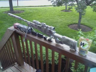 Type 96 Airsoft Sniper Rifle with EXTRAS and Painted