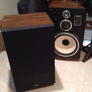  Fisher 15 inch Speakers