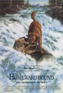 Homeward Bound The Incredible Journey Heidi 2 VHS 786936027358