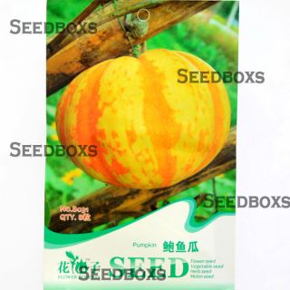 Yellow Pumpkin Ornamental Fruit Seed Garden Décor 8pcs 1 Bag DIYSEEDS
