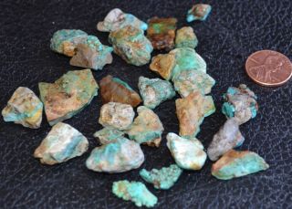 Rough Nevada Turquoise 46 1 gram Lot