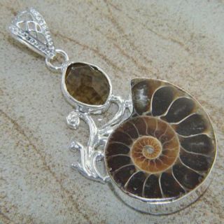 Latest Fashion Jewelry Ammonite Fossil Gemstone Silver Pendant 90 5ct