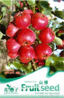 Hawthorn Seed Red Color Delicious Sweet Food 8 Fruit Seeds