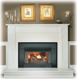   Gas Fireplace Insert GI3600 Log Natural B Vent Affordable Blower