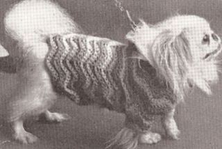 Vintage Dog Sweater Coat Hat Puppy Crochet Pattern
