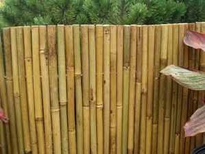 Bamboo Cane Edging   zen garden asian decor landscape fence fencing