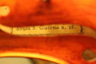 Old Violin Lab Gennaro Fabricatore 1836 Low Reserve