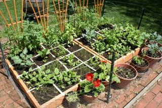 Gardening Vegetables Production 30 Books CD Edible Food Seeds Rooftop