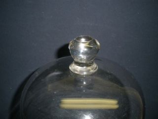 Vintage Large Glass Dome Doll Clock Taxidermy or Country Store Display