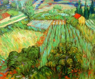 Van Gogh Repro Field with Poppies in Saint Remy 1889 Oil Painting 20