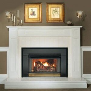New Napoleon Natural Vent Gas Fireplace Insert GI3600N