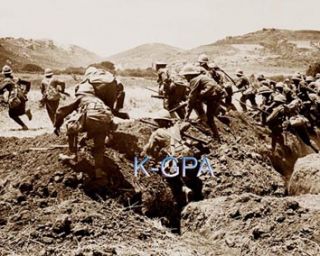 WW1 Royal Naval Division Gallipoli 1915 Photograph 803