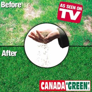 Canada Green Grass Seed 2 lb Bag