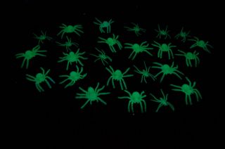 24 Piece Glow in The Dark Spiders