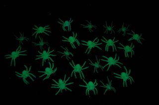 24 Piece Glow in The Dark Spiders