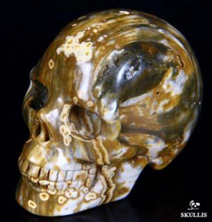 Unusual Hue 2 4 Ocean Jasper Carved Crystal Skull Realistic Crystal