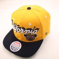 Cal Bears California NCAA Snapback Hat Cap Shadow Script