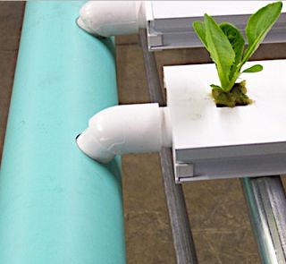 Home Hydroponic Growing Kit Start Growing at Home Today
