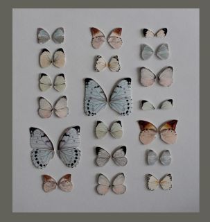 Original *** Damien Hirst *** Butterfly Print Stickers. Beautifully