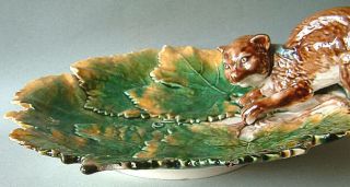 Antique Squirrel Cat Nut Dish Figural Majolica Platter Eichwald C1900