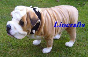 Plush Soft Toy British Bulldog by Hansa soft toys