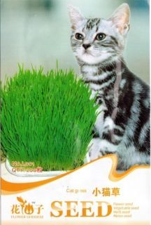   Seeds Cat Grass Seed For Your Cat Food Pet Food Pet Grass Seed L001